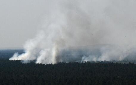 Germania: in fiamme il bosco Grunewald di Berlino © AFP