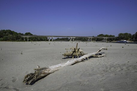 Francia: siccità, oltre 100 comuni senza acqua potabile © ANSA