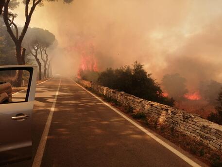 ++ Brucia pineta Castel del Monte, evacuati maniero e ville ++ © ANSA