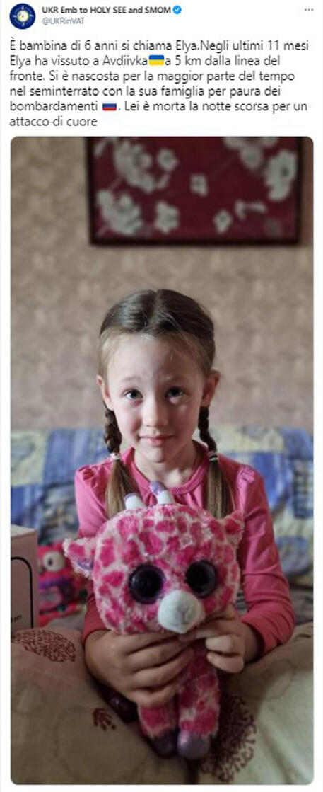 Ucraina, bimba 6 anni muore per attacco di cuore - Mondo - ANSA