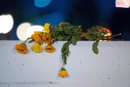 Fiori lasciati in omaggio nel luogo del massacro © Getty Images via AFP