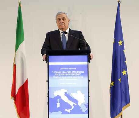 ++ Tajani, fake news russe gi� respinte al mittente ++ © ANSA