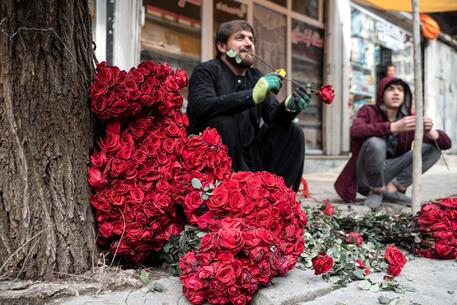 San Valentino nel mondo: Afghanistan © AFP