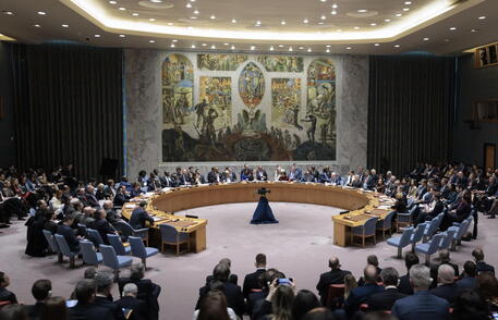 Il Consiglio di sicurezza delle Nazioni Unite © EPA