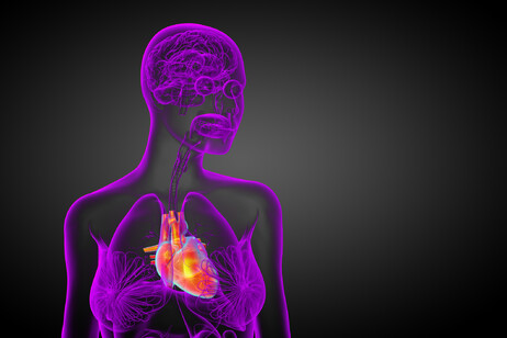 Un'analisi del sangue indica il grado di invecchiamento degli organi, dal cuore ai polmoni (fonte: SomkiatFakmee da iStock)