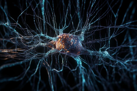 È stata trovata la ‘firma’ dei neuroni, che descrive l’identità dei vari tipi di cellule presenti nel cervello (fonte: free via freepik)