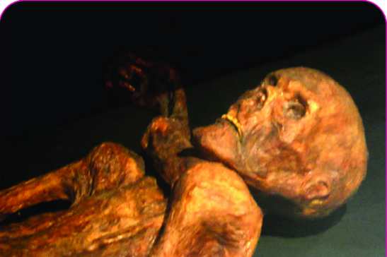 Ricostuzione della mummia di Oetzi nel Museo della Preistoria di Quinson, Alpes-de-Haute-Provence, France (fonte: 120, da Wikipedia)