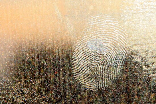 Gli investigatori forensi hanno un’ulteriore arma nelle ‘impronte microbiche’ (fonte: pixabay)