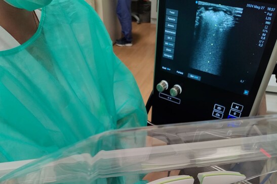 L'ecografia polmonare permette di capire subito se il neonato ha bisogno della terapia intensiva (fonte: Università degli Studi di Padova - Università degli Studi di Napoli Federico II)