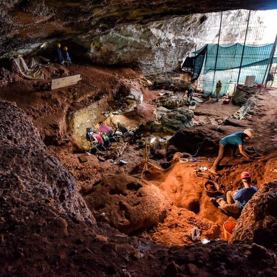  Lavoro sul campo a Grotta Romanelli (fonte: L. Forti)