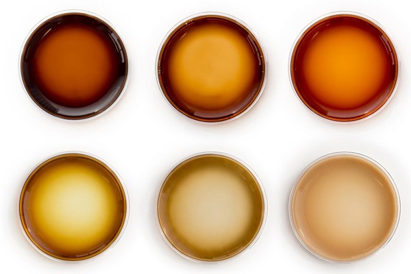 Cellule della pelle 'colorate' in laboratorio (fonte: Matej Vakula, NYC)