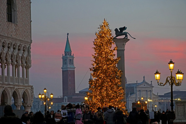 Venice: Christmas tree