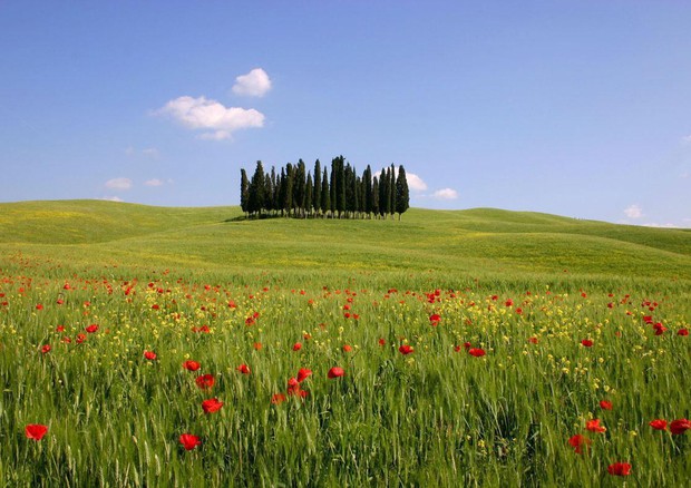 Expo: Toscana, da secoli viviamo nel futuro © ANSA