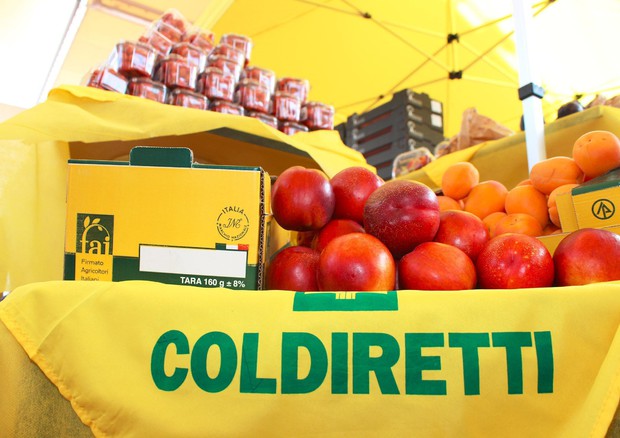 Alimentare: Coldiretti, su frutta e verdura si specula © ANSA