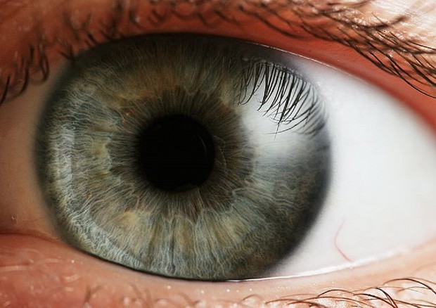 Distrofie retiniche,speranze per pazienti con terapia genica © Ansa