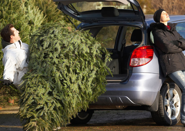 Come trasportare l'Albero di Natale senza rischiare multe © ANSA