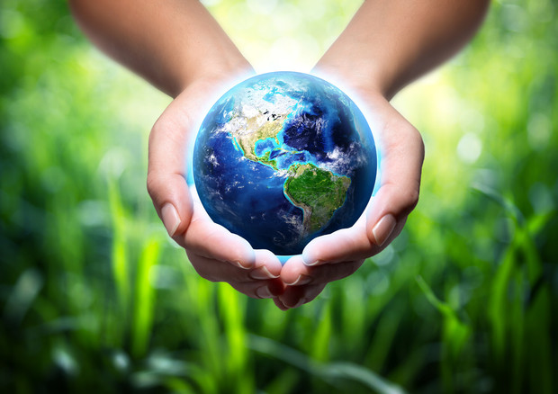 Cosmesi e sostenibilità: dalle materie prime al rispetto per l'ambiente - Press Release - Marche - ANSA.it
