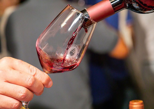 Commissione Ue verso nuove misure per il vino (foto: ANSA)