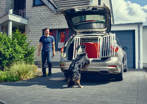 Ford, un box per i cani nel bagagliaio della Focus wagon © ANSA