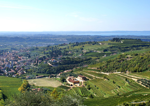 Valpolicella wines showcased in Switzerland © ANSA