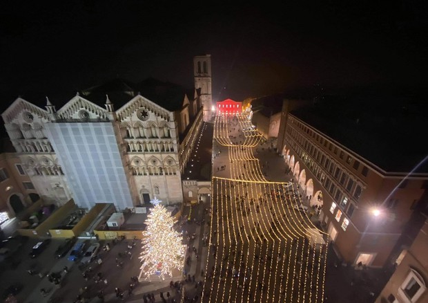Natale: Ferrara, illuminati 4 abeti in diversi punti città © ANSA