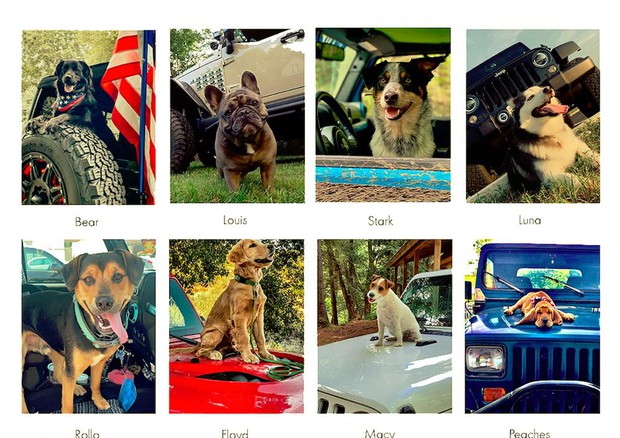 Jeep Top Canine, ecco gli otto finalisti fotografati col loro 4x4 © FCA US Press