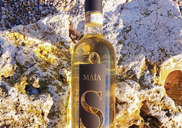 Maìa, Vermentino di Gallura docg superiore,  Oro al Mundus Vini © ANSA