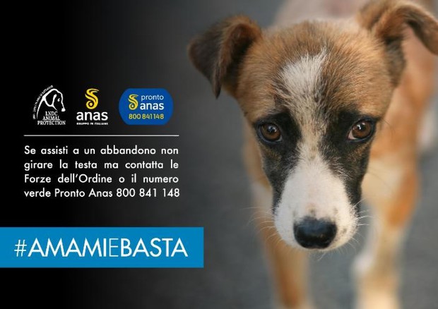 #AMAMIeBASTA, campagna Anas contro l'abbandono di animali © ANSA