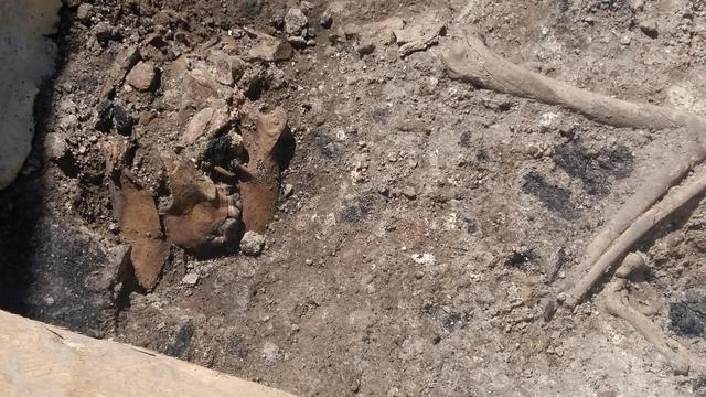'Mini Pompei' da scavi metro Roma, c' anche cane © Ansa