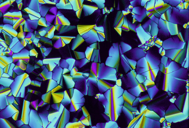Struttura di cristalli liquidi vista al microscopio (fonte:Paul Hindmarsh e John Goodby,The Liquid Crystal Group, The University of Hull)