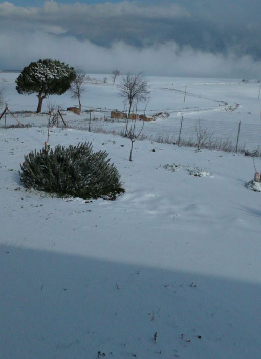 Provincia di Foggia, temperature in picchiata e primi fiocchi di neve.
