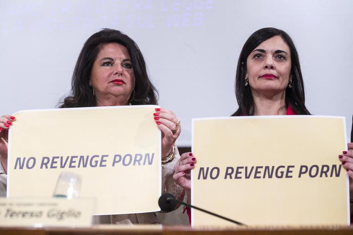 Public Revenge Porn - Revenge porn amendment OK'd by House - English - ANSA.it