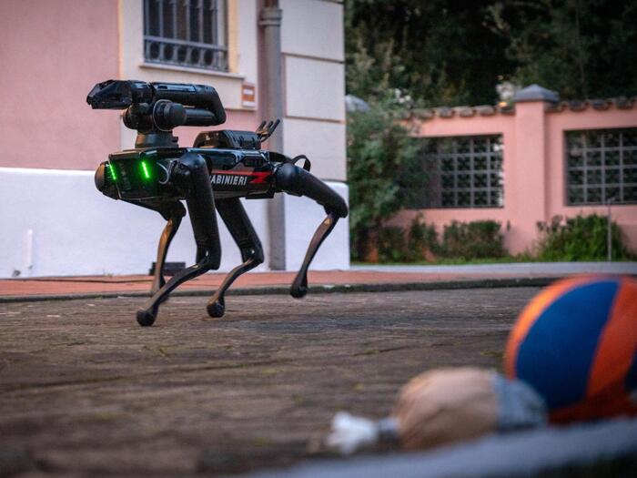 Può un robot sostituire l'amore di un cane? 
