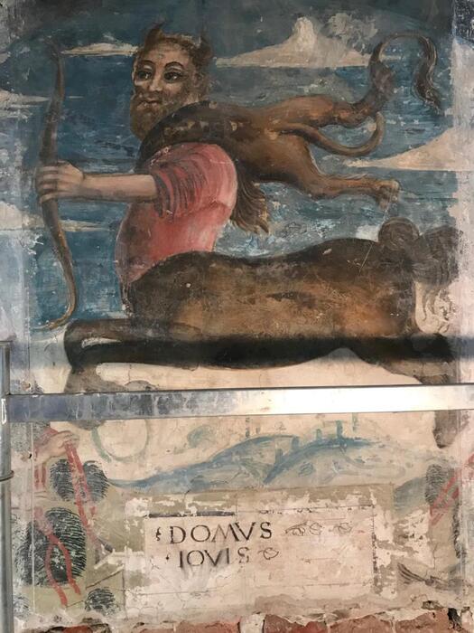 'Animali fantastici' ai Musei di Palazzo dei Pio a Carpi - Arte