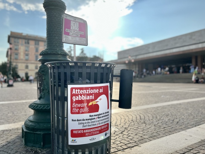 Attenzione ai gabbiani', nuovi cartelli di avviso a Venezia - Notizie -  Ansa.it