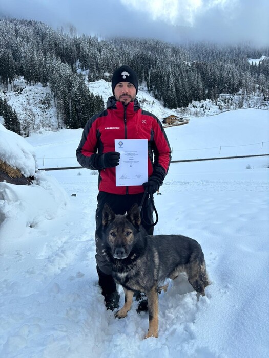 I carabinieri arruolano il cane da valanga Volkmar | ANSA.it