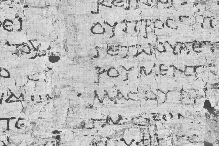                                                               The Herculaneum papyri have revealed the location of Plato's burial place in the Platoni