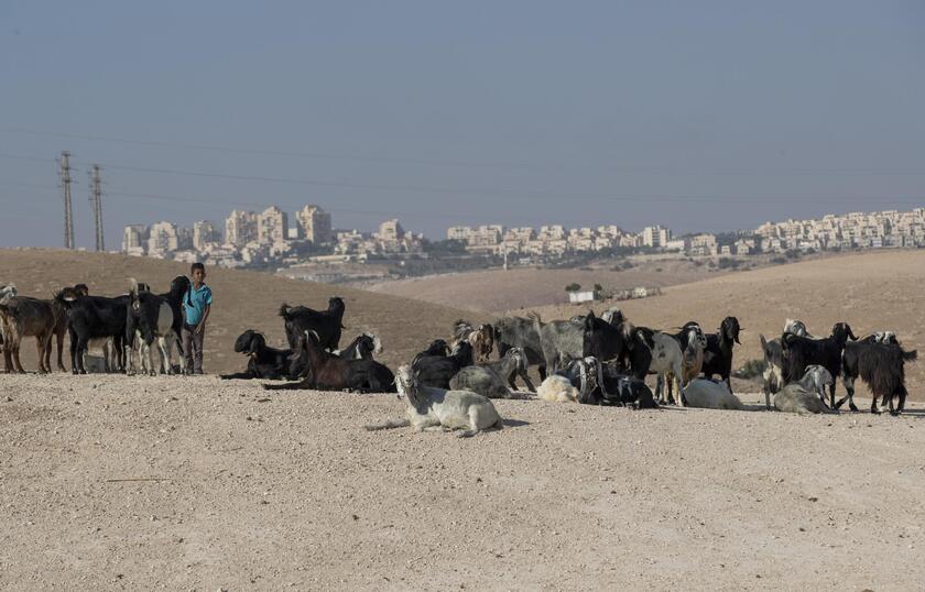 Israel court approves demolition of Khan al-Ahmar Bedouin village © ANSA/EPA