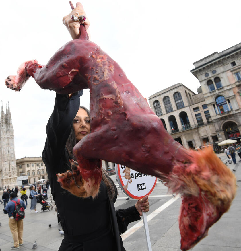 ITALY FASHION PETA PROTEST - ALL RIGHTS RESERVED