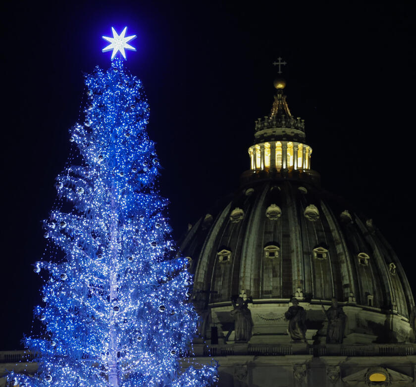 Nativity Scene and Christmas Tree in St Peter 's Square - ALL RIGHTS RESERVED