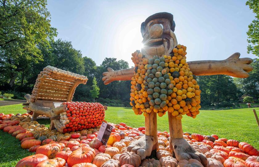 Germania, una mostra di opere d 'arte realizzate con le zucche © ANSA/AFP