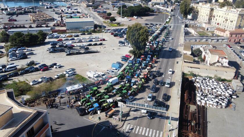 Protesta trattori, "Lunghe file di camion al varco dogana del porto di Cagliari, bloccati da 60 trattori in presidio" del collaboratore Stefano Ambu - RIPRODUZIONE RISERVATA
