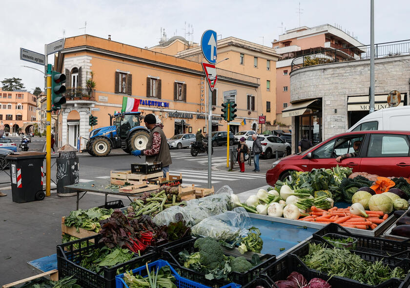 'Senza agricoltori niente cibo ', trattori in centro a Roma - RIPRODUZIONE RISERVATA