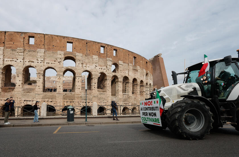 'Senza agricoltori niente cibo ', trattori in centro a Roma - RIPRODUZIONE RISERVATA