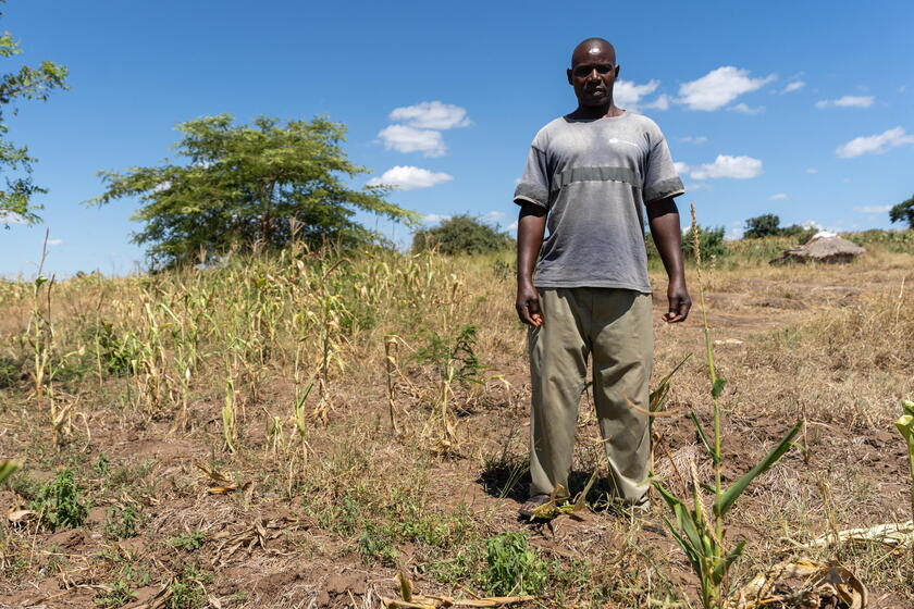 Drought destroys local farmer's harvest in Zambia