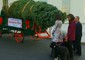 Natale: arriva l'albero alla Casa Bianca © ANSA