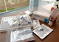 Un kit di farmaci per l'eutanasia in un'immagine d'archivio © ANSA