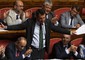 Italian Deputy Premier Matteo Salvini addresses to the Senate © Ansa