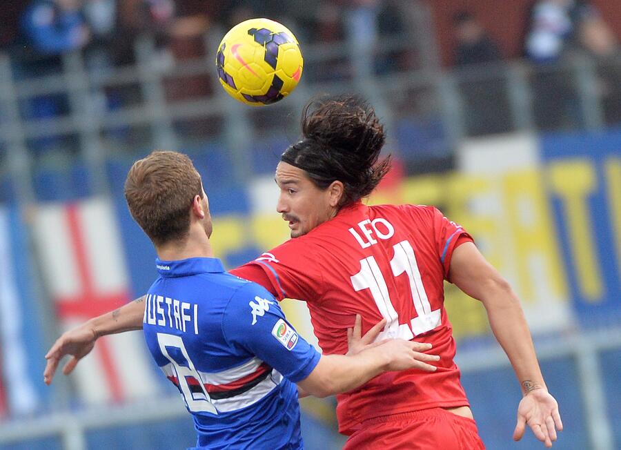 Sampdoria-Catania 2-0 © ANSA