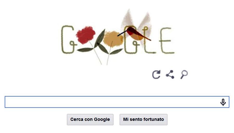Earth Day: da colibr a pesce palla, Google celebra Pianeta © ANSA